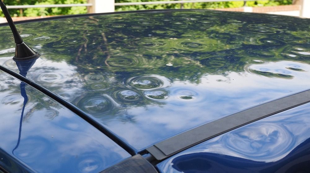 Blue car hood with rain ripple patterns, antenna on the left, reflecting trees and sky.