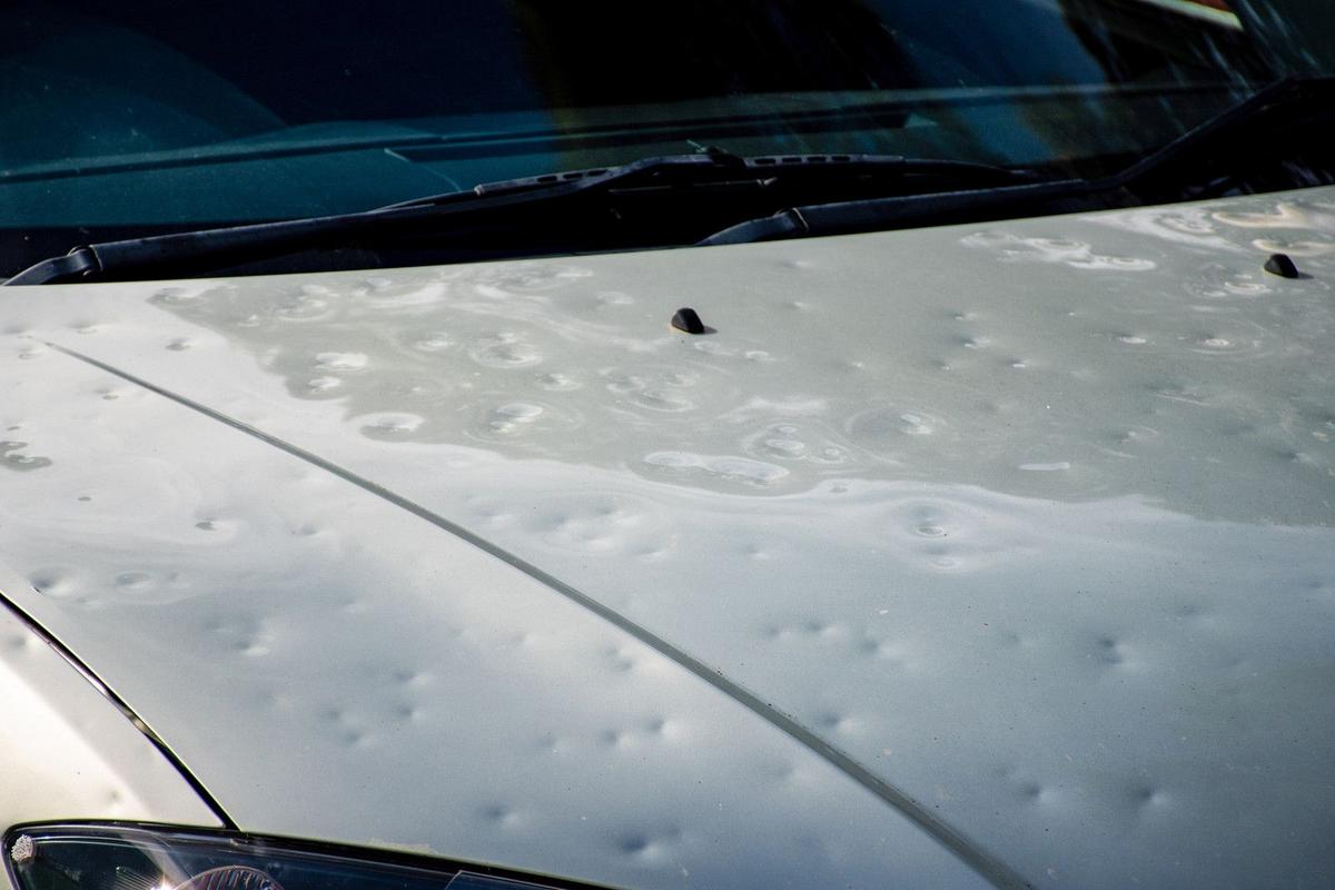 White car hood with numerous dents from hailstones, front-left headlight visible in the corner, windshield wipers resting at the base of the windshield.